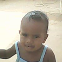 وائل الشلالى