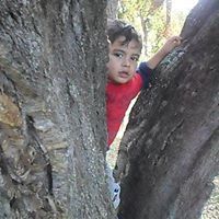 حميد الشابي