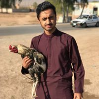 Zakir Ullah