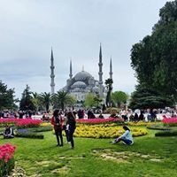 رنيم السباعي