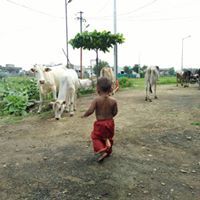 Shekhar Gase