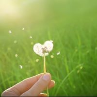 مروة النجار