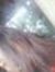 Fenia S...