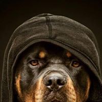 حمزه المسلاتي