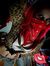 Harley ...