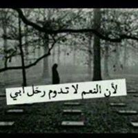 Sayed Elahmady