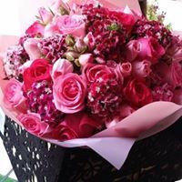 المدربة خيري