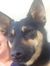 Franki ...