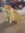 Kay (kay_bookery) | 1 comments