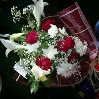 رائدة فروانه