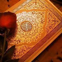 Măhmőûď Wåĺįĕď