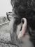 Saqib S...
