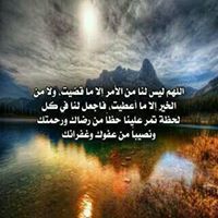 Sayed Mohamed