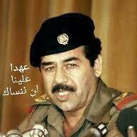 محمد عبدالقادر