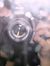 Tima_shams