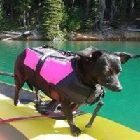 Natalie Schwalenberg