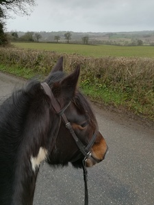 Emily Jeacock