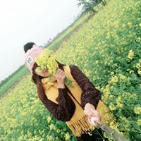 Dương Mít