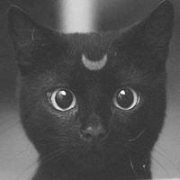 Дая Ананиева