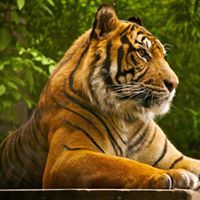 Gloria Einstein Solomon