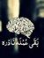 Mohamed...
