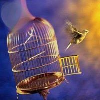 المشتاقه للجنه