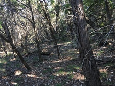 A.