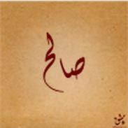 صالح عزالدين