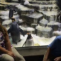 Chrissy Johnson Freeman