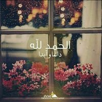 Noura Zaiem Masry