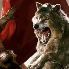 Direwolf GoT