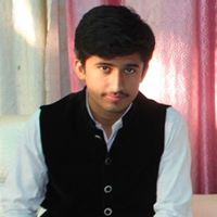 حمزہ آرائیں