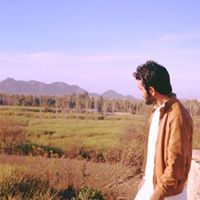 Shah Faisal Mohmand