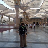 ShaSha Halim