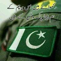 M Shahbaaz