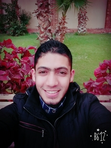 Ahmed El Sayed