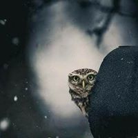 Hadeel Hilal