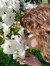 Anne Marie