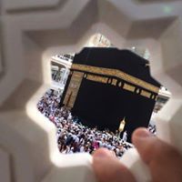 محمود جمال الدين