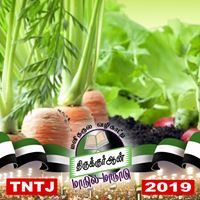 புது நெல்லு