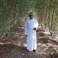 Mohamed Alshamery
