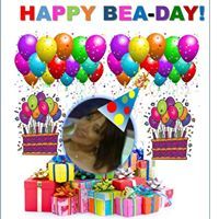 Beatriz Minet