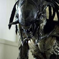 Atm ThePredator