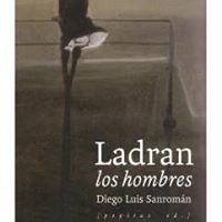 Diego Luis Sanromán