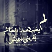 Abdo Omar
