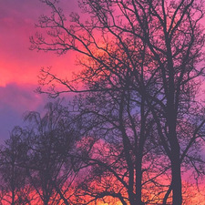 &#x1d41e;&#x1d426;&#x1d426;&#x1d41a; ღ