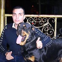 Abd SweDan