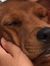 Nicky T...