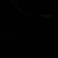 Ibrahim Boucharrafat