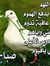 مكحل يوسف